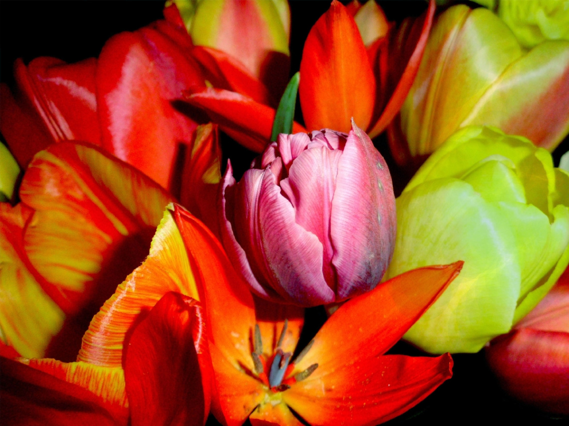 BLÜTEN