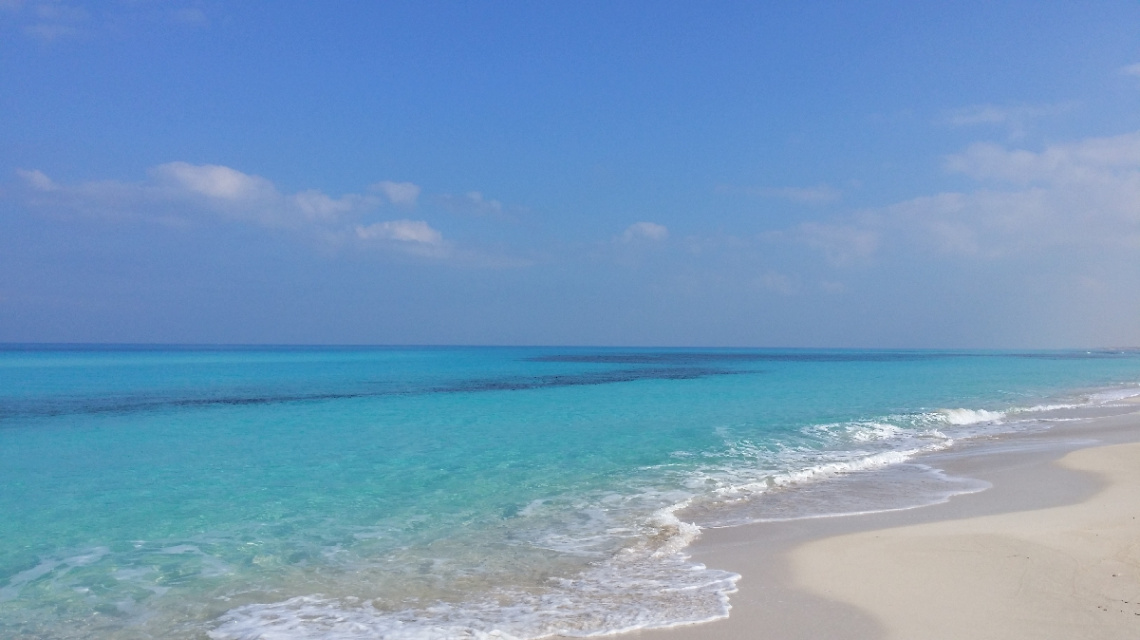 Egypt - North coast 