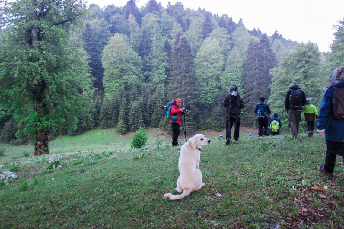 Doğa 