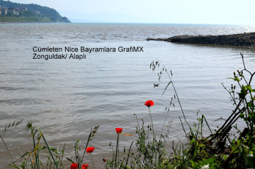 Nice Bayramlara