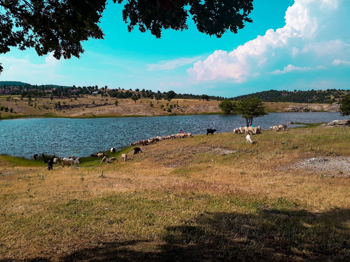 Anadolu