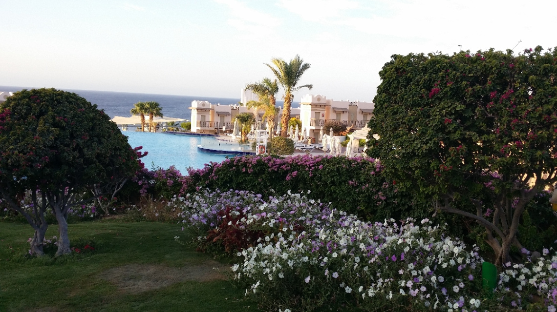 Egypt - Sharm Alsheikh