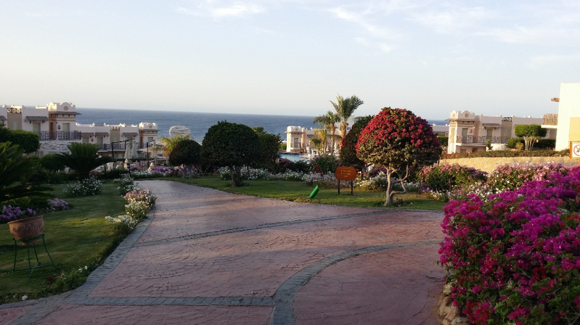 Egypt - Sharm Alsheikh