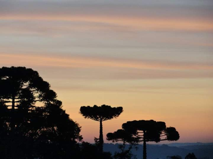 Ao entardecer 