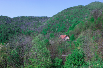 Doğa 