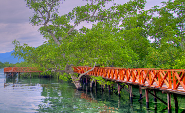 Wooden bridge