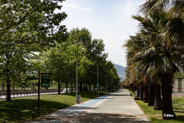 Yürüyüş Yolu
