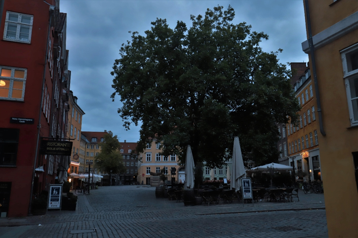 Gråbrødre Torv - Copenhagen - Denmark