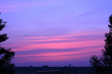 Pink & purple sky