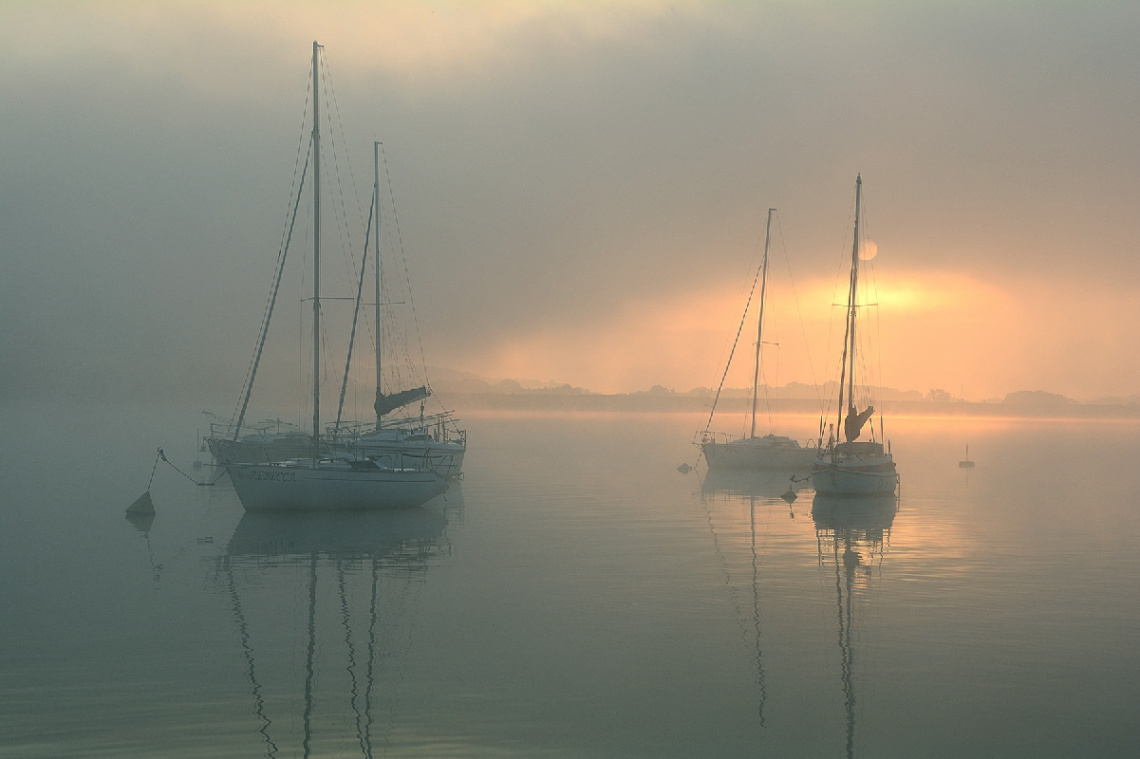 In the fog