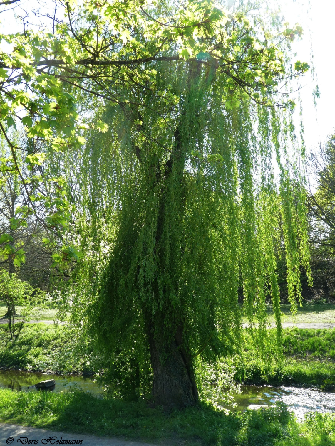 An der Alb in Karlsruhe / Deutschland