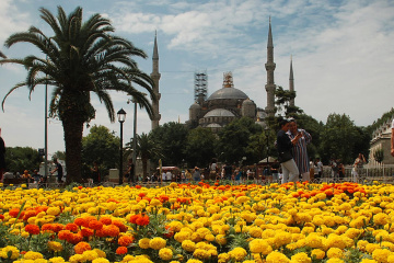 Sultanahmet Camii & Renkler