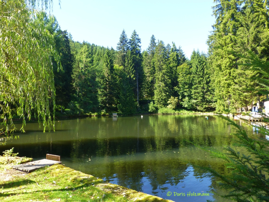 Langenwaldsee
