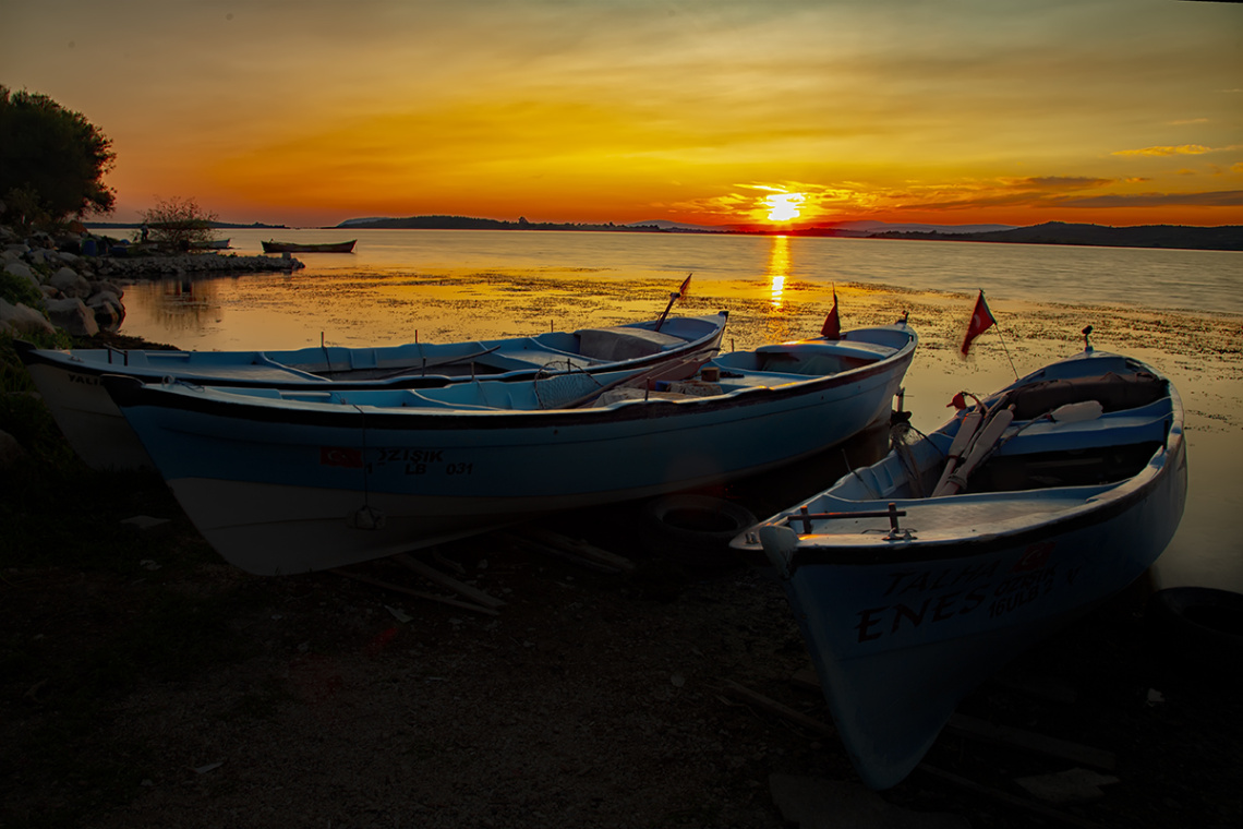Gölyazı