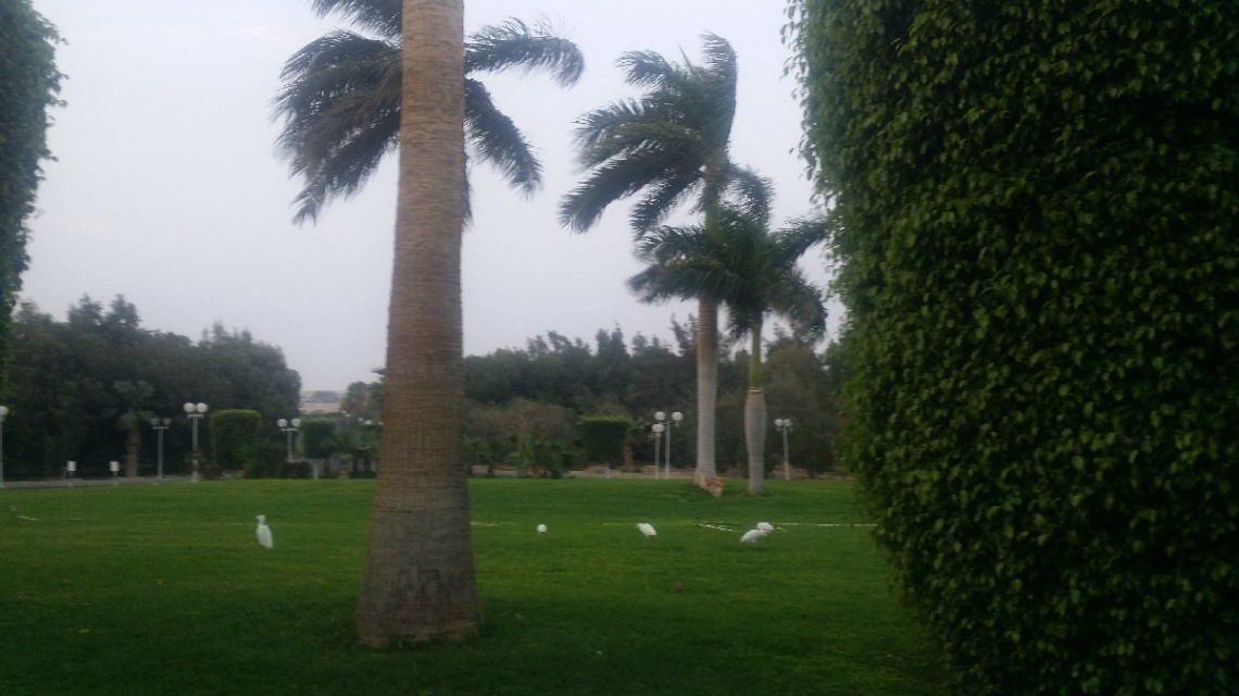 Egypt  - Hurghada