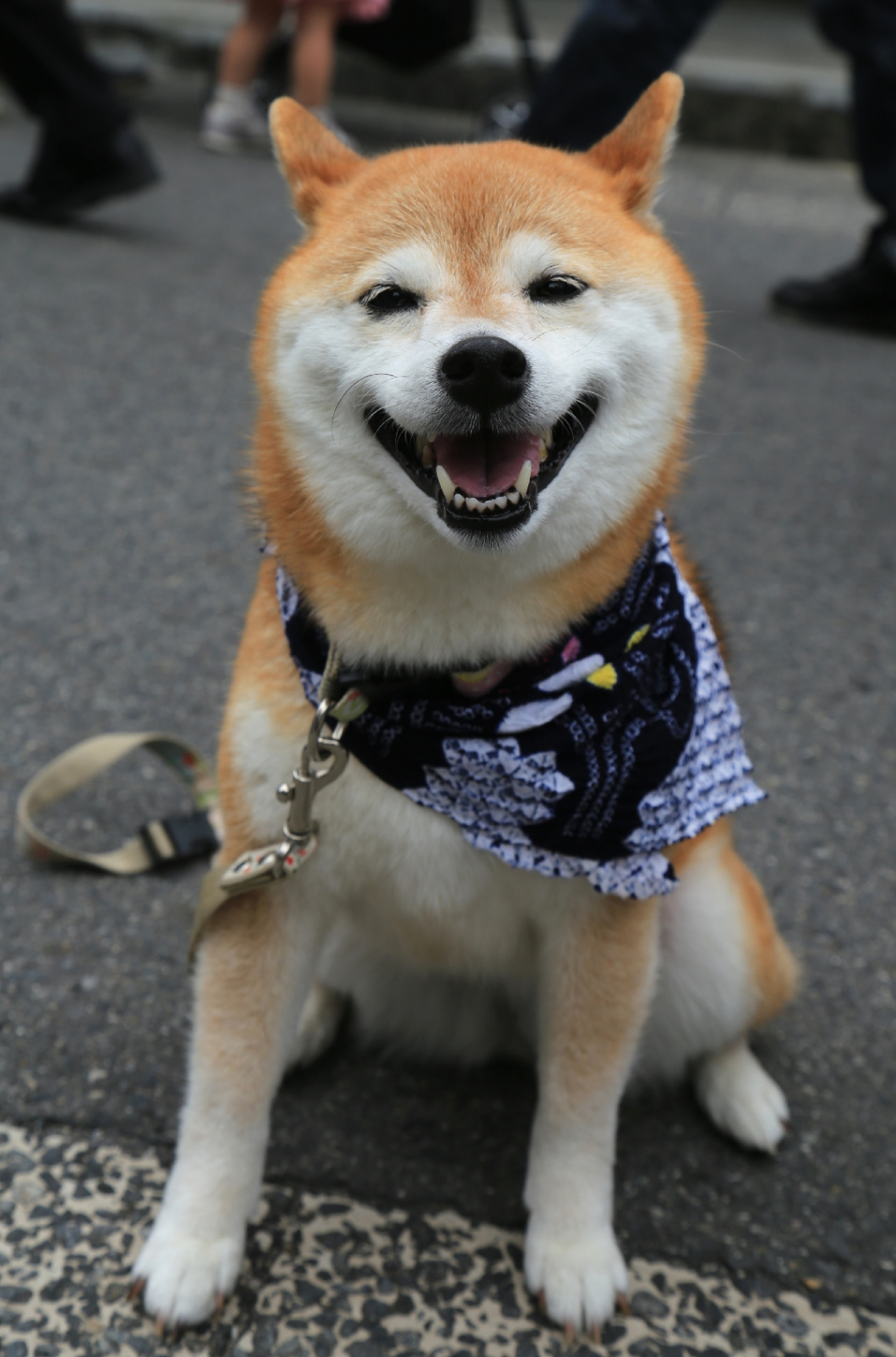 Smile ( ´∀`)
