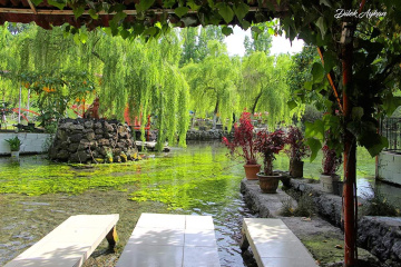 Terapi 