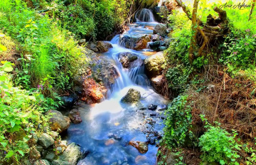 Dört Koz Yaylası / Osmaniye