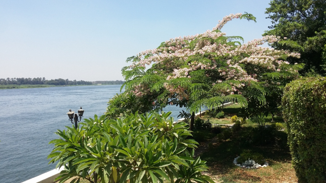 Egypt  - Cairo - Nile river