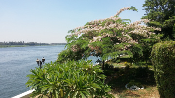 Egypt  - Cairo - Nile river