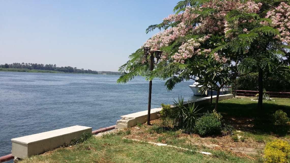 Egypt  - Cairo - Nile river