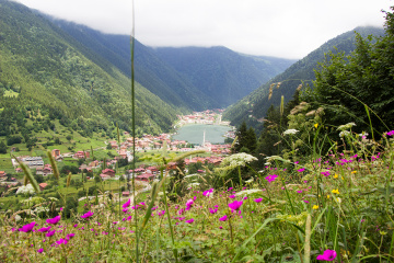 MANZARA