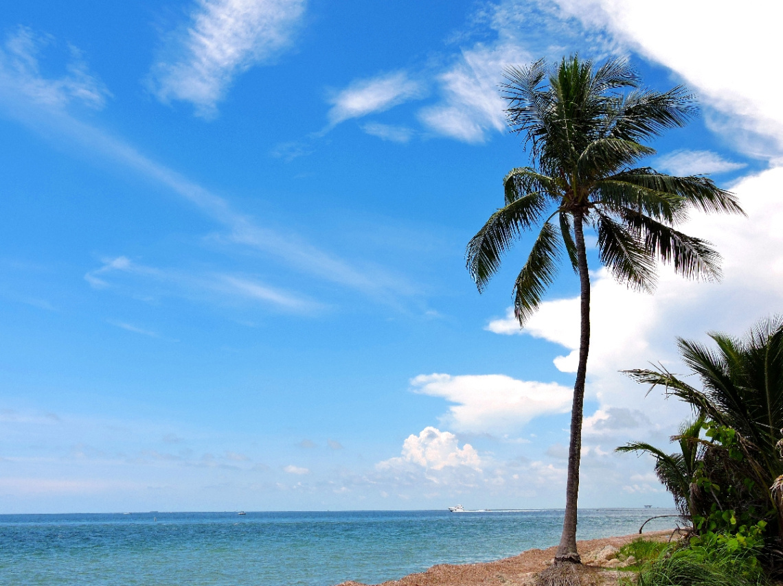 Key Biscayne II