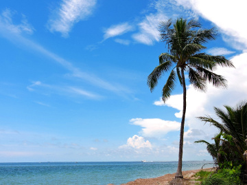 Key Biscayne II