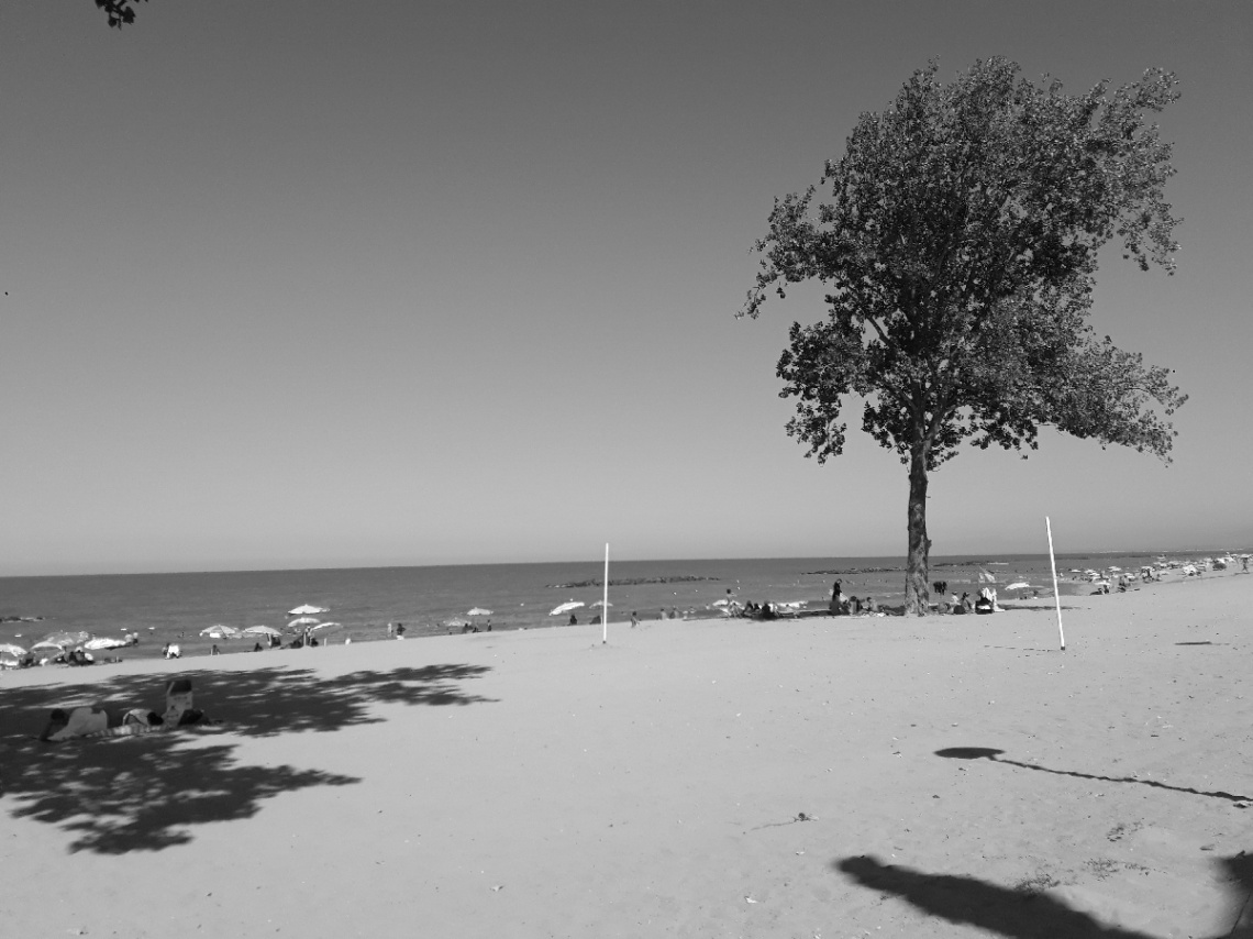 Doğa 