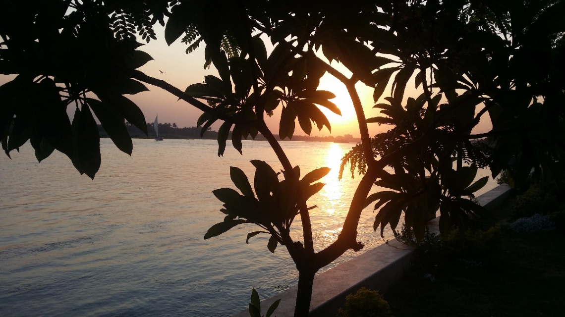 Egypt  - Nile River