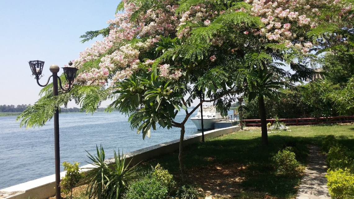 Egypt  - Cairo - Nile river