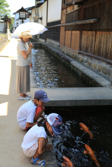 One summer day …