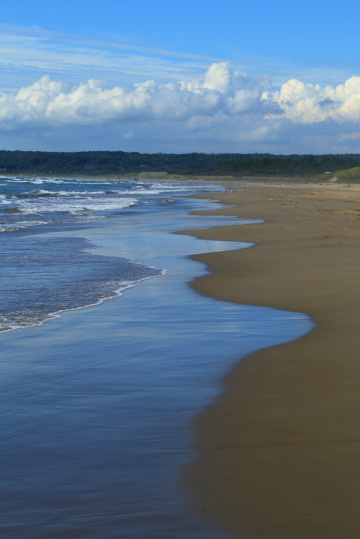 Sand & sea