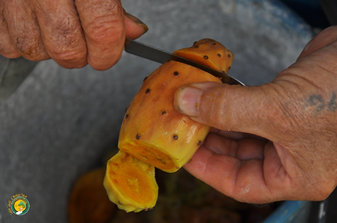 Babutsa