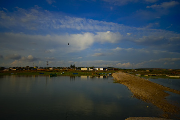 Kuş Cenneti