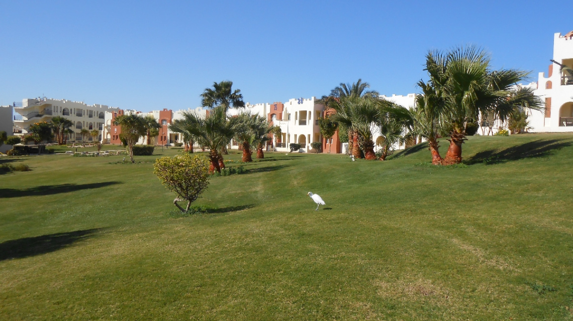 Egypt  - Hurghada