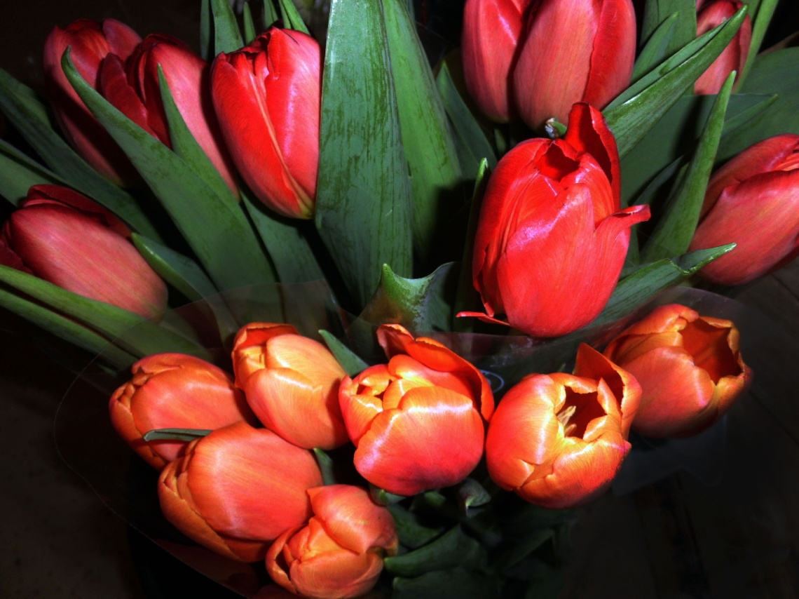 BLÜTEN