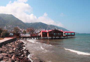 Ordu