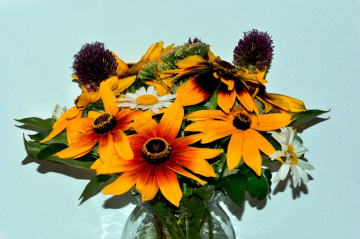 BLÜTEN