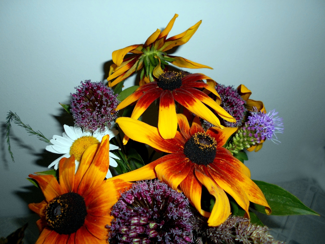 BLÜTEN