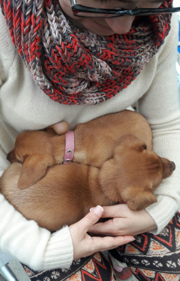 Bela & Fera 