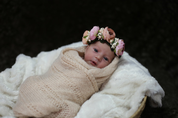 Ada Bebek