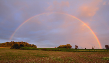 Autumn morning