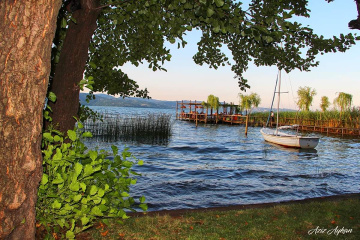 Sapanca..