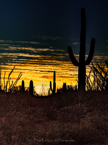 Arizona Sunrise