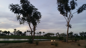 Egypt  - Alain alsokhna