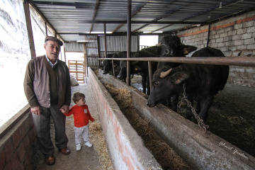 Mandalar, Dede ve Torun