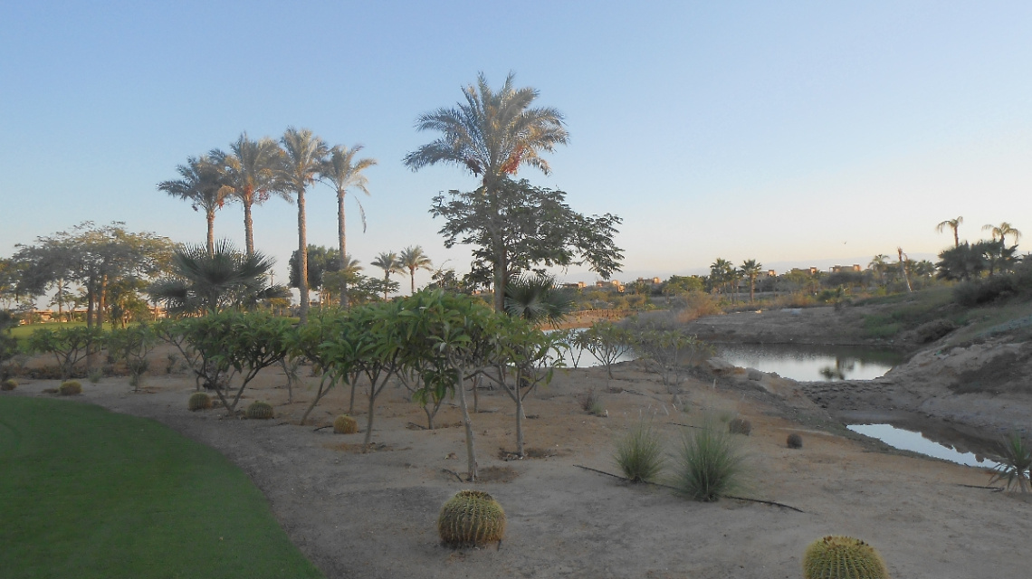 Egypt  - Alain alsokhna