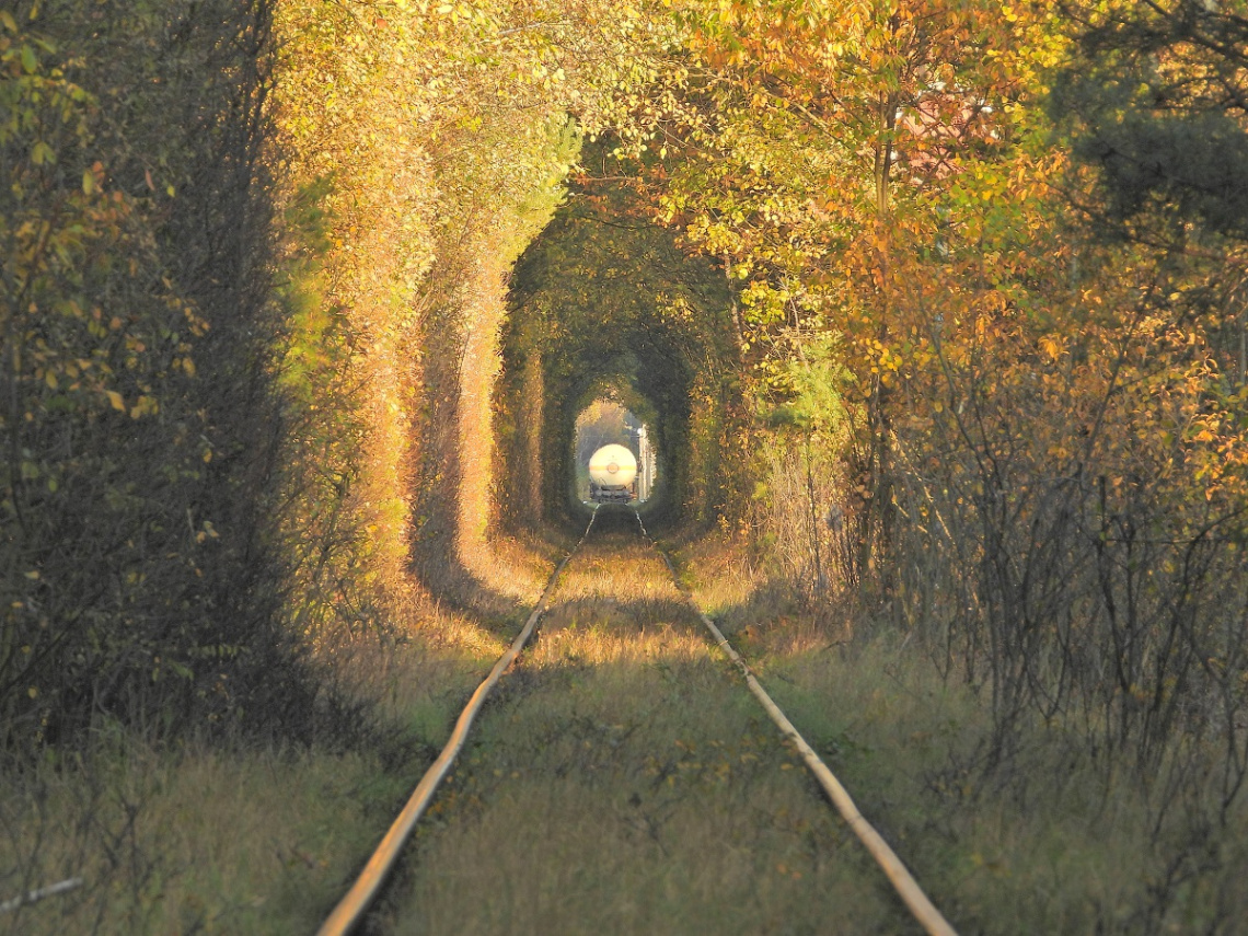 Magic place