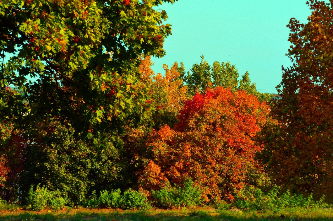 HERBST